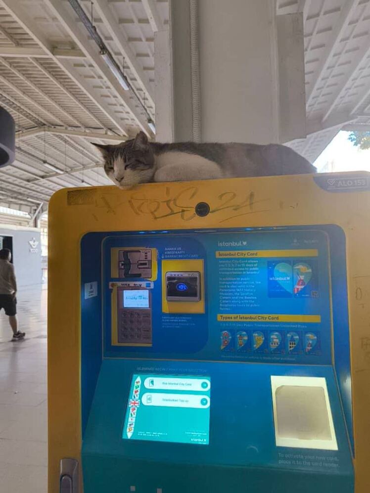 گزارش تصویری ( ترکیه ، شهر استانبول )